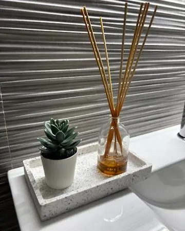 Apartment Loft Cinco *